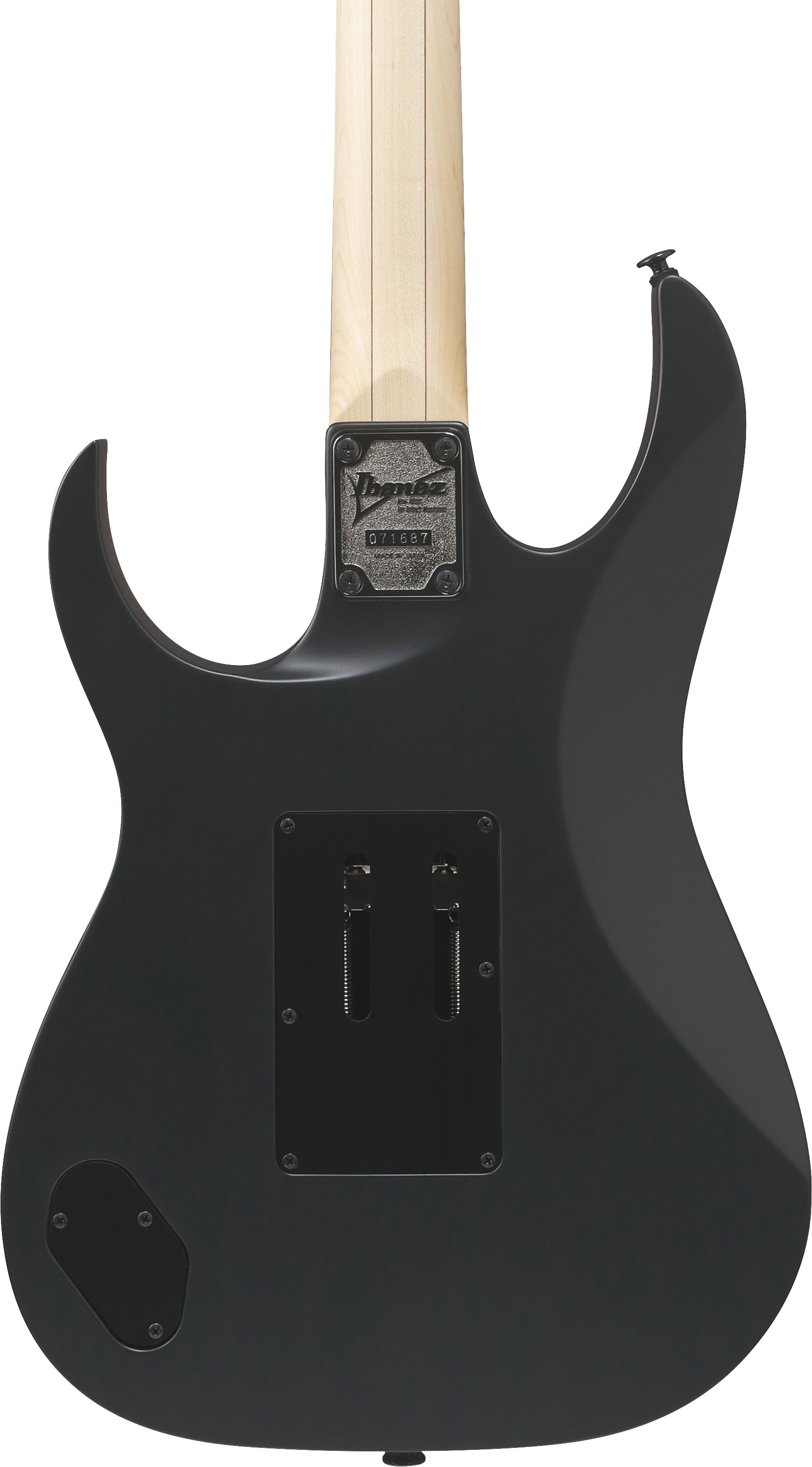 RG550 Genesis RG Black Flat E-Gitarre